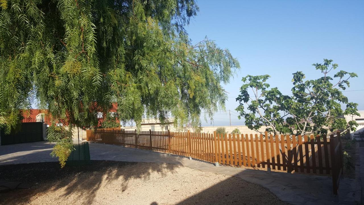 グラナディージャ・デ・アボナ Casa Del Sur, En El Sur De Tenerifeヴィラ エクステリア 写真