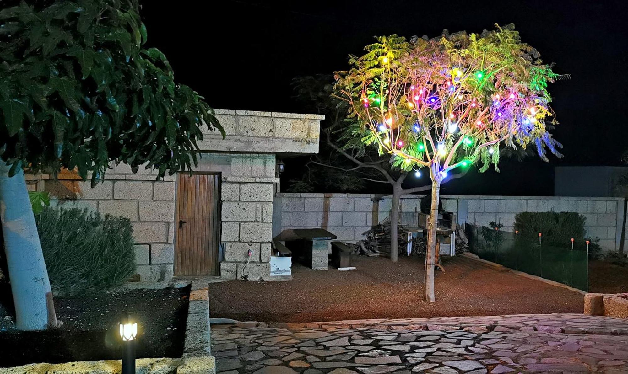 グラナディージャ・デ・アボナ Casa Del Sur, En El Sur De Tenerifeヴィラ エクステリア 写真